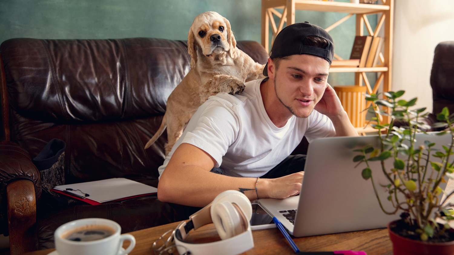 Tips to Make Sure your Pets are Happy at Home Alone