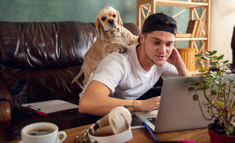 Tips to Make Sure your Pets are Happy at Home Alone